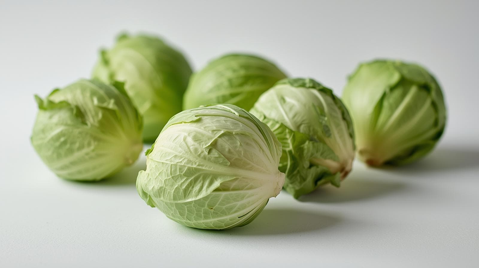 Cabbage
